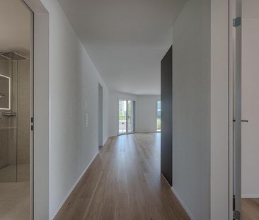 2.5 Zimmerwohnung in Zürich - Photo 1