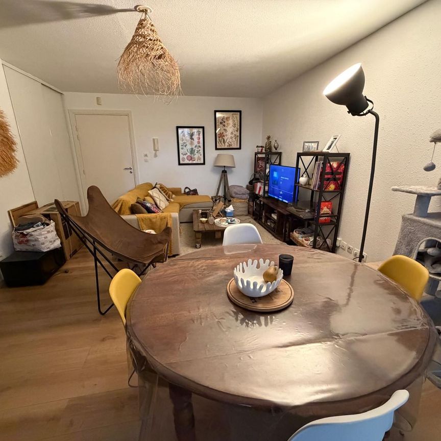 Location Appartement 2 pièces 42m² MONTAUBAN 82000 - Photo 1
