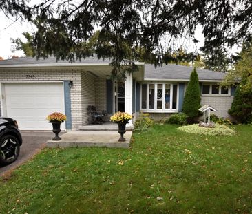 For Lease - 7345 Yonge Street, Innisfil, Ontario - Photo 6