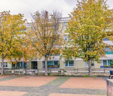 3-Zimmer-Wohnung in Braunschweig-Weststadt bezugsfertig zu sofort z... - Foto 1