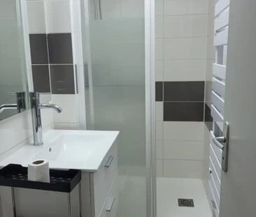 Location Appartement 1 pièce 20m² - Photo 4