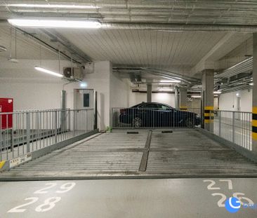 *49m2*od zaraz* pet friendly - Photo 3