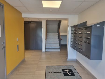 Malörtsvägen 6, Trelleborg Norr - Photo 4