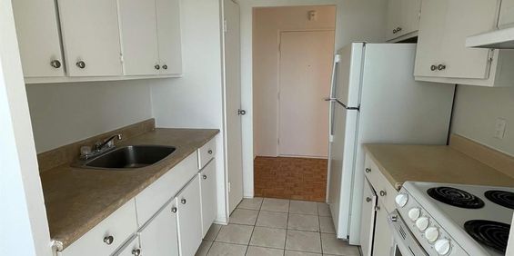 1 CH - 1 SDB - Montréal - $1,295 /mo - Photo 3