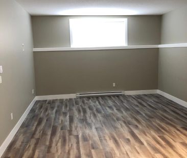 BOSER RESIDENCE - LOWER - Photo 3