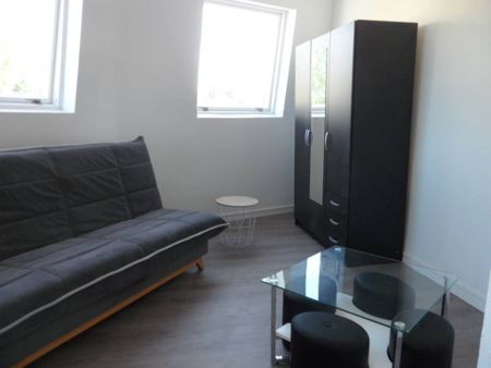 LOCATION APPARTEMENT - FACHES THUSMESNIL - Photo 3