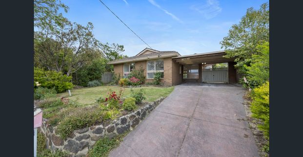 Sleek and Spacious Renovated Family Home - Photo 1