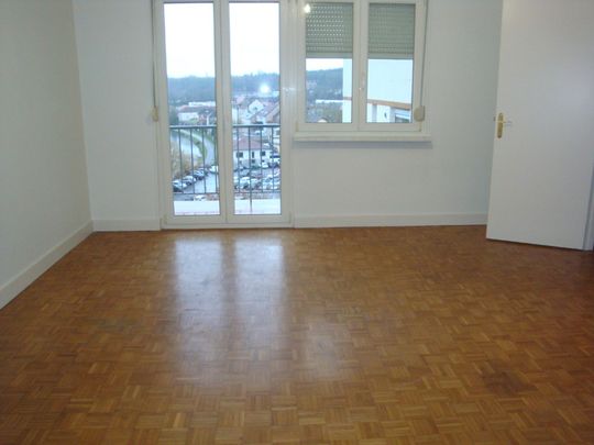 APPARTEMENT - 62 m2 - 3 pièces bvd des faienceries à SARREGUEMINES 57200 - Photo 1