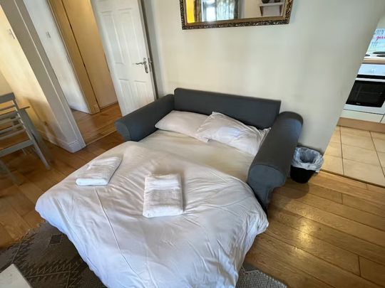 Clanbrassil Street Lower, Dublin - Photo 1