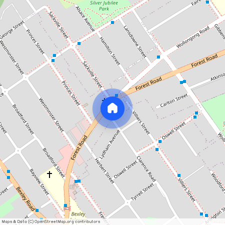 252a Forest Road, Bexley 2207, New South Wales