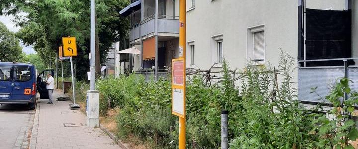 Zimmer 25 qm in 3er-WG ab 1. Dezember 2025 oder ab 1.Januar 2026 - Photo 1