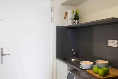 Silver Studio (Newly Renovated) - Standard View | Mid Level - Photo 5