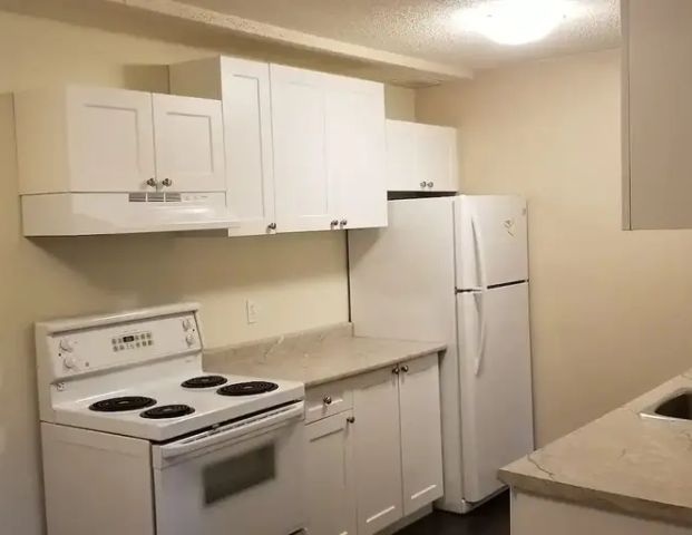 GORGEOUS & RENOVATED TWO Bedroom Condo with In-Suite Laundry & DISHWASHER | 134 26 Ave NW, Calgary - Photo 1