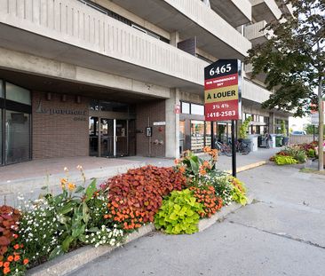 The Portneuf Apartments - Photo 6