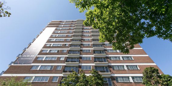 Le Plateau - 3605 St-Urbain - 1 Bedroom - 3605 Rue Saint-Urbain, Montréal - Photo 3