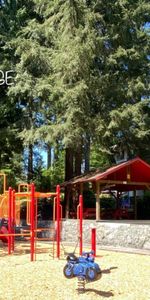 989 Lytton Street - Photo 3