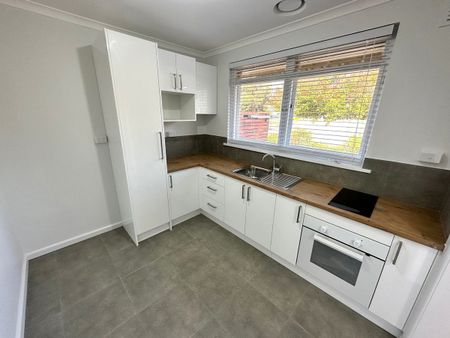 Renovated Unit - Photo 4