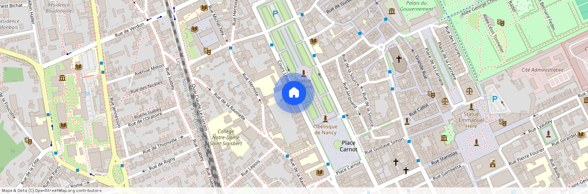 15 COURS LEOPOLD, Cours Leopold, Nancy