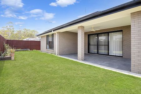 FABULOUS HOME IN SOUGHT AFTER PALLARA - Photo 5