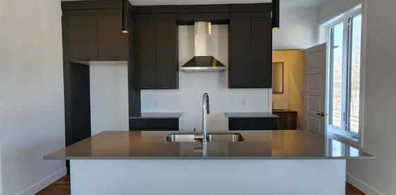 5 1/2 rue Bertrand-Fabi TOUT INCLUS - Photo 2