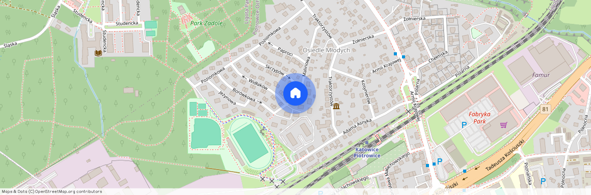Zadole, ul. Malinowa, Katowice