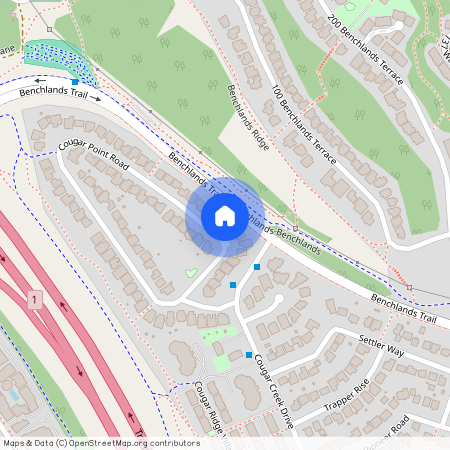 167 Cougar Point Rd, Canmore, AB T1W 1A1