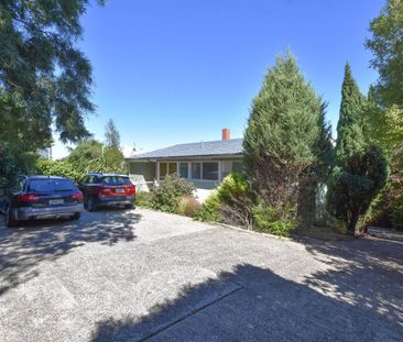 PRESTWICK 40 | MAORI HILL - Photo 4