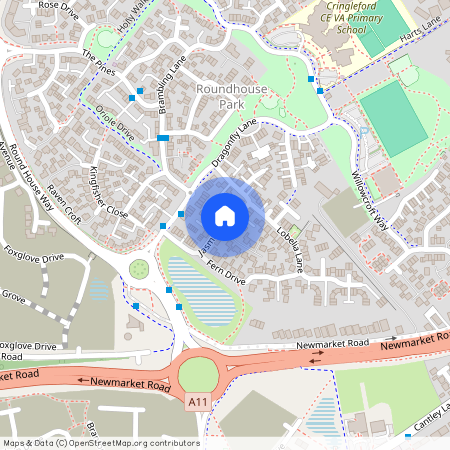 Jasmine Walk, Cringleford