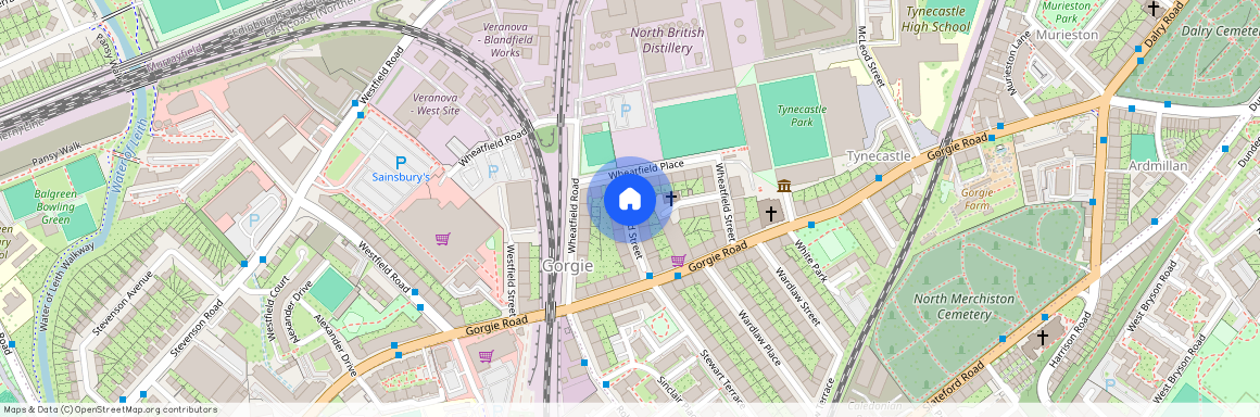 3207L Smithfield Street, Edinburgh, EH11 2PQ