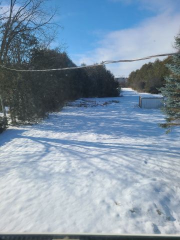 For Lease - 229 Angeline Street, Kawartha Lakes, Ontario - Photo 5