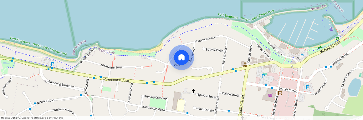 12 CHRISTMAS BUSH AVENUE, Nelson Bay