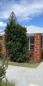 Quiet Location - Dual Key Property - Photo 3
