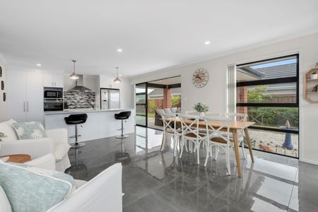 Fantasctic Farrier - Papamoa - Photo 2