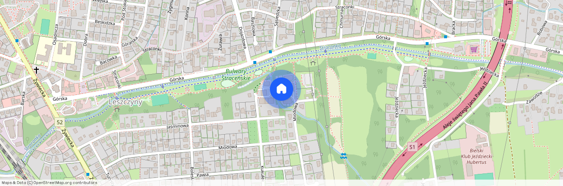 Jana Karola Chodkiewicza, Bielsko-Biała, Leszczyny