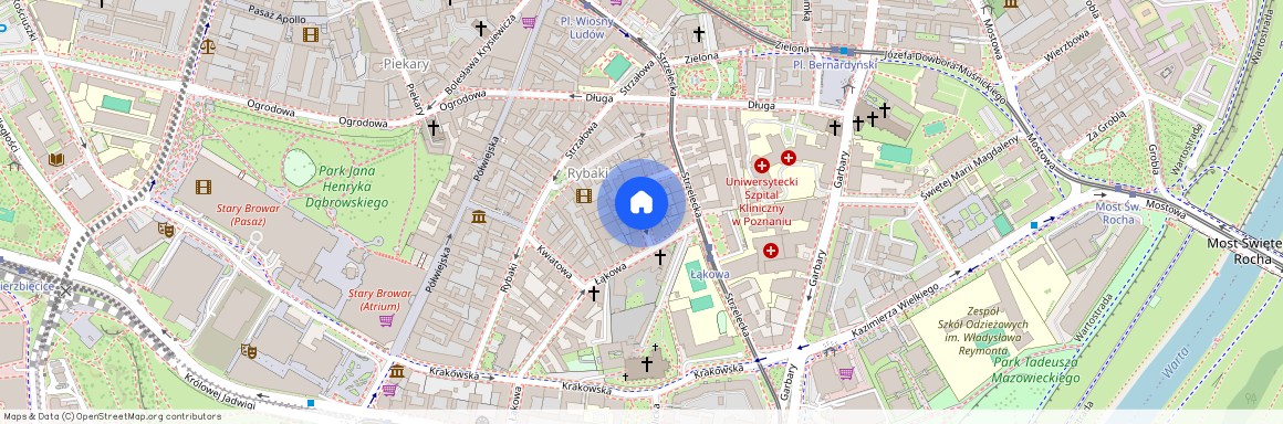 Kopernika, Poznań, Centrum