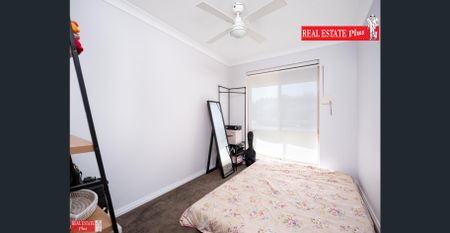 Spacious Living On Ewart Street - Photo 5