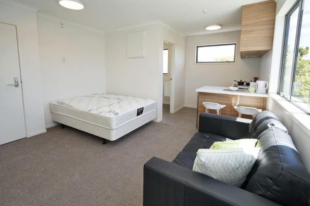 Furnished Studio Near Waikato Hospital - Photo 1
