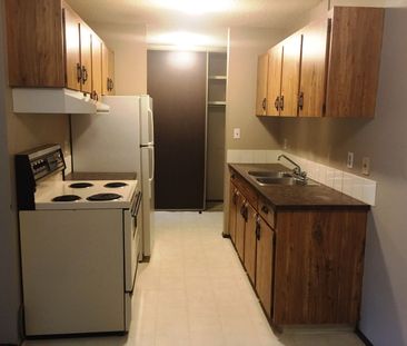 Spacious 1 Bedroom Apartment Located in a Well-Maintained Building - Photo 2