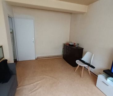 Location appartement 1 pièce 30.64 m² à Ottmarsheim (68490) - Photo 2