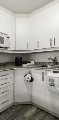 Appartement 3 ½ à louer Sainte-Foy / Sillery juillet 2026 - Photo 1