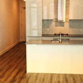 Cozy and Pet Friendly One Bedroom Downtown Vancouver - Photo 3