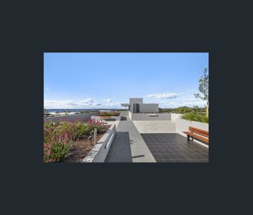 MUST MEET ELIGIBILITY CRITERIA | SUN FILLED APARTMENT WITH PARKING ... - Photo 5