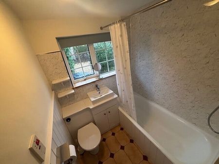 The Street - Photo 4