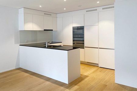 New, modern 2.5-room apartment, 6410 Goldau First rental - Photo 2