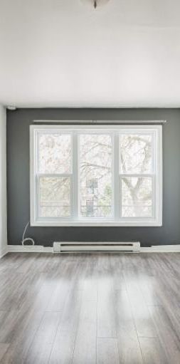 1 CH - 1 SDB - Montréal - $1,095 /mo - Photo 1