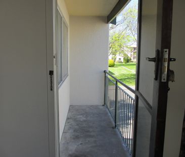 City Central 2 bedroom- larger than a new one. - Photo 6