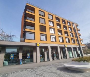 Superbe 1,5 pièce de 52 m2 au 4ème et dernier étage à louer dès le ... - Photo 1