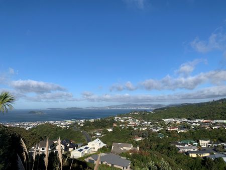 58 Cypress Drive, Maungaraki - Photo 4