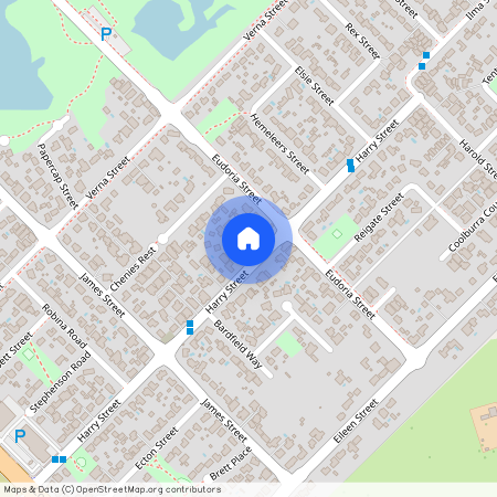 37 Harry St, WA 6110, Gosnells