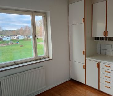 Ekbacken, Asarum - Foto 5